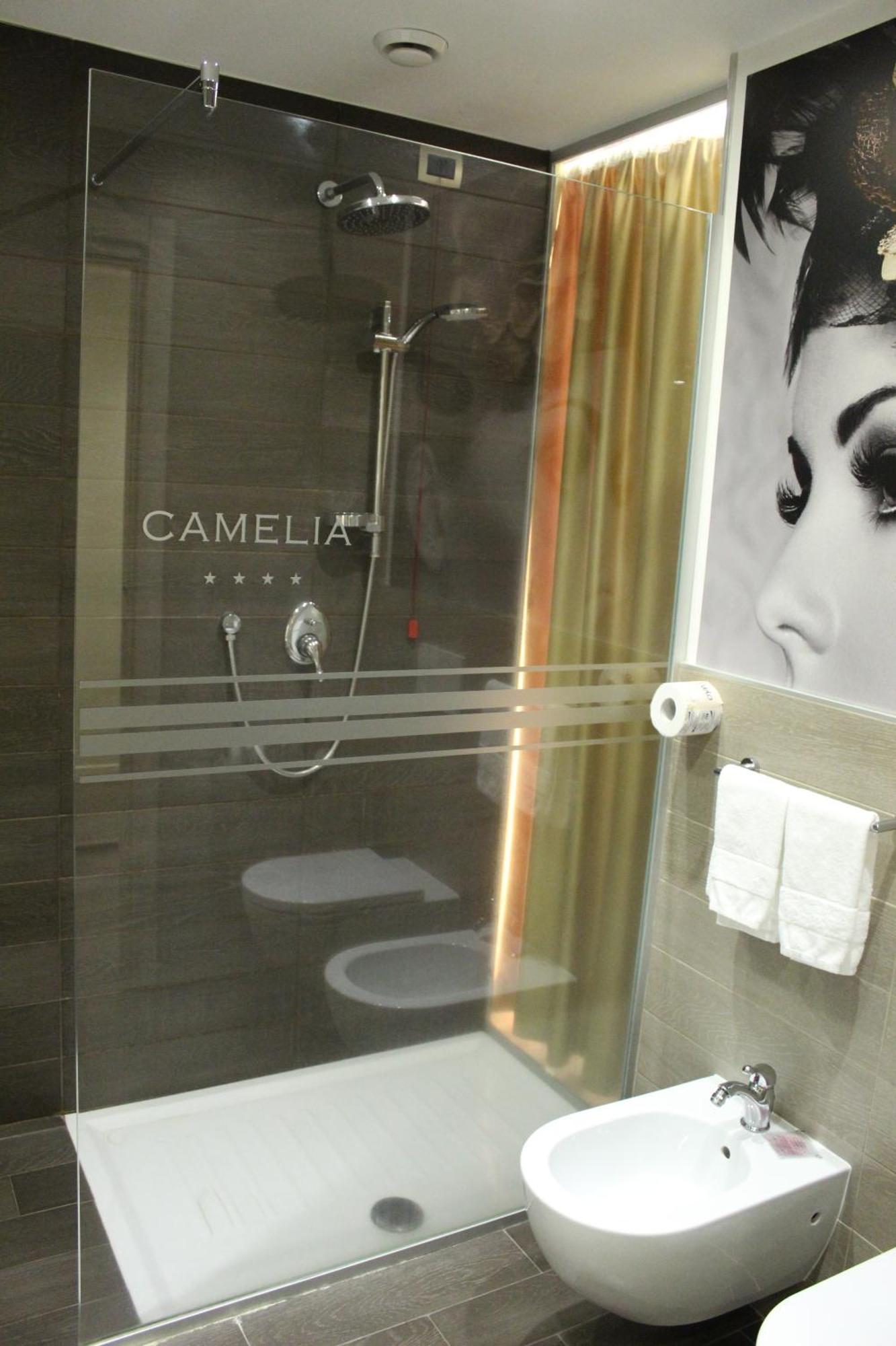 Camelia Motel Cameri