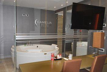 Motel Camelia Cameri