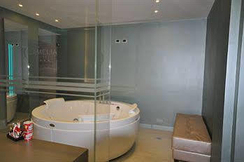 Motel Camelia 4*